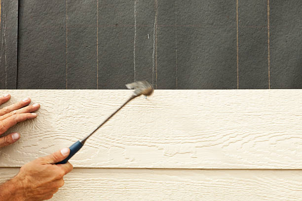 Best Brick Veneer Siding  in Burns, TN